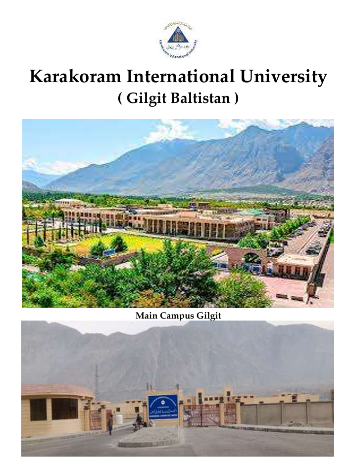Brief of KIU (Report)